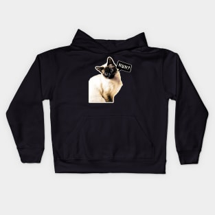 huh cat Kids Hoodie